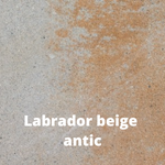 Labrador beige antic